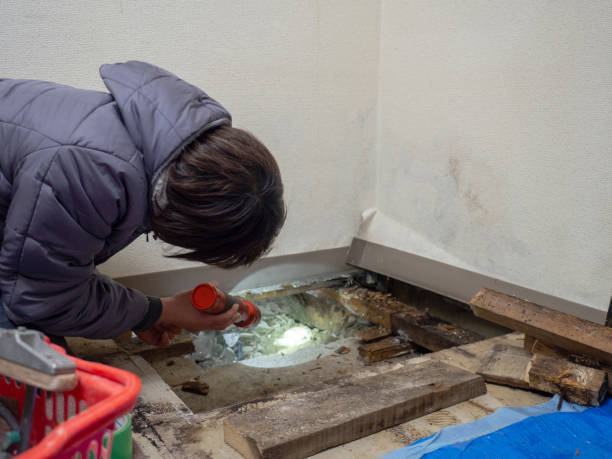 Best Asbestos and Lead Testing During Mold Inspection  in Pine Ridge, SC