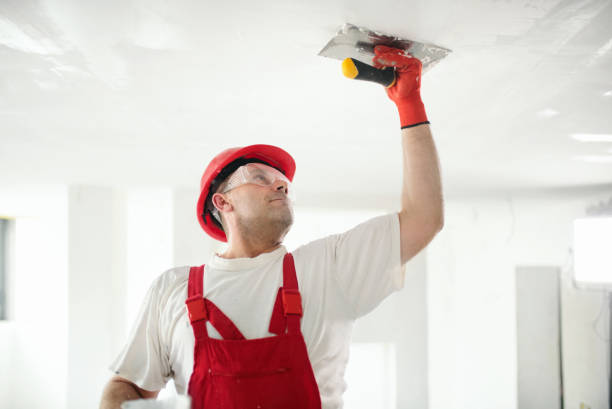 Mold Remediation for Rental Properties in Pine Ridge, SC