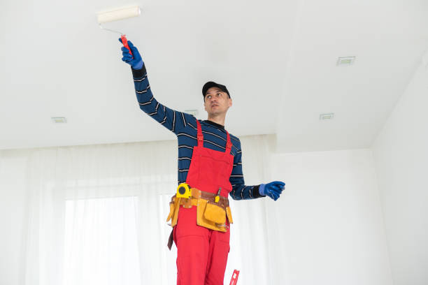 Mold Removal for HVAC Installations