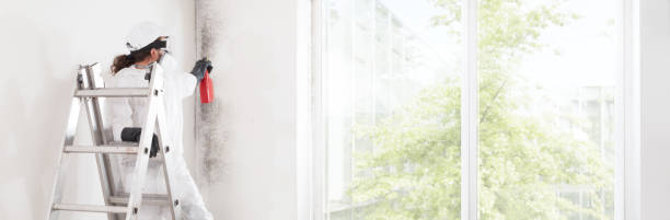 Best Real Estate Mold Inspection  in Pine Ridge, SC