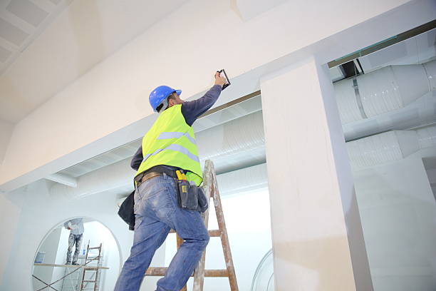 Best Mold Removal for HVAC Installations  in Pine Ridge, SC