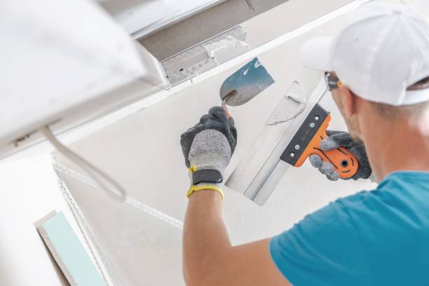 Best Commercial Mold Inspection  in Pine Ridge, SC